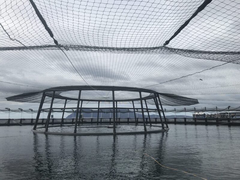 Nets Tasmania High Tenacity Bird Net over a fish cage Nets Tasmania High Tenacity Bird Net over a fish cage
