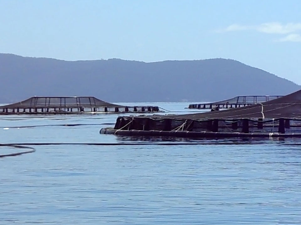 Bird net covers over fish pens with hills behind