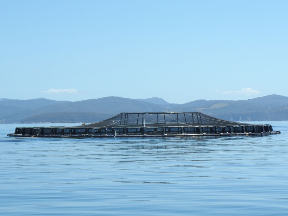 Bird net covering a circular fish pen on calm water