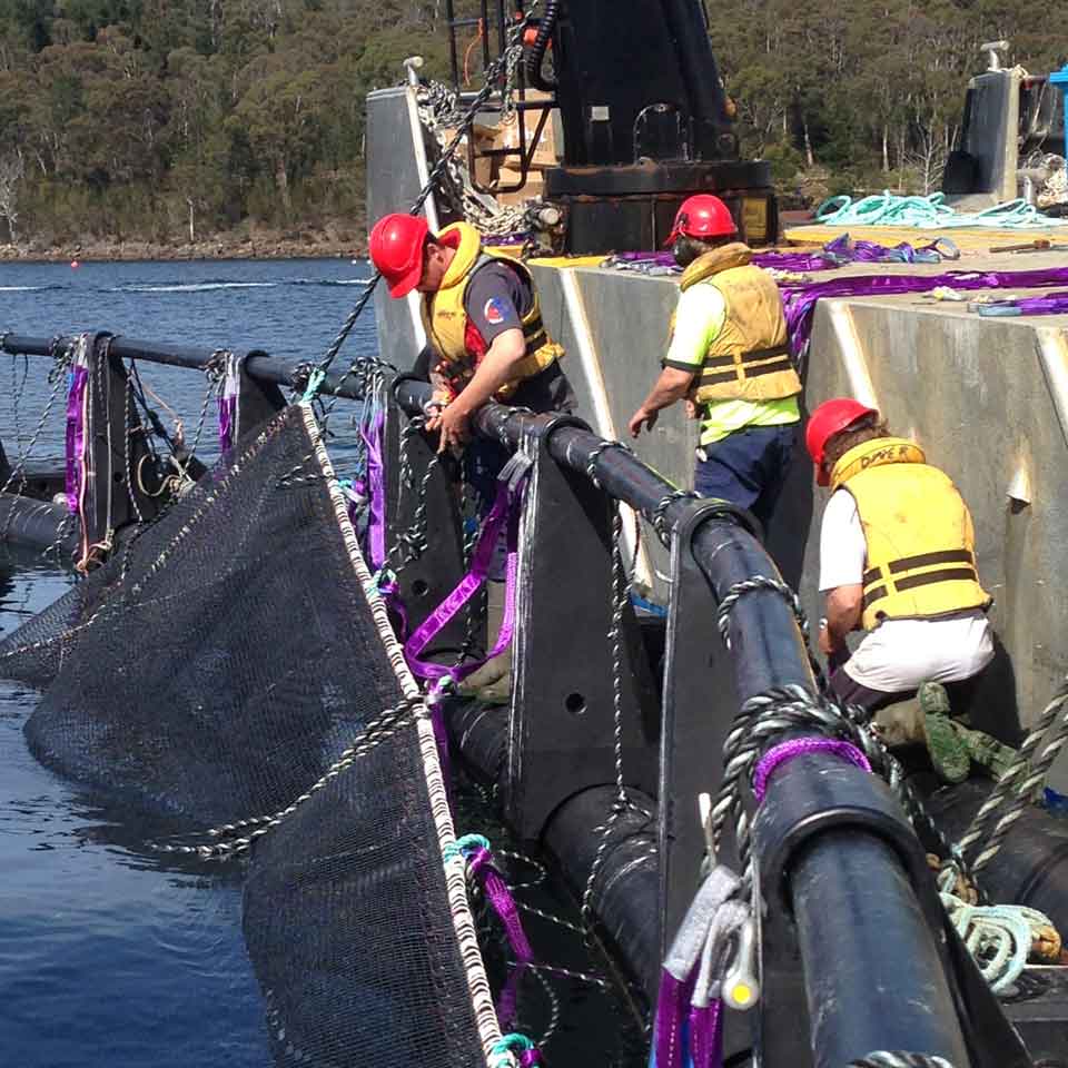 Nets Tasmania crew fitting a net to a fish pen on the water Nets Tasmania crew fitting a net to a fish pen on the water
